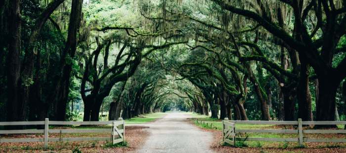 Bratton Funeral Home York SC 29745 Your Trusted Guide to Grief