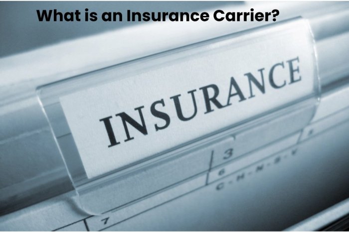 What is a non admitted insurance carrier